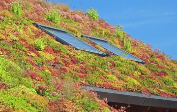 Charfield Green living roof systems